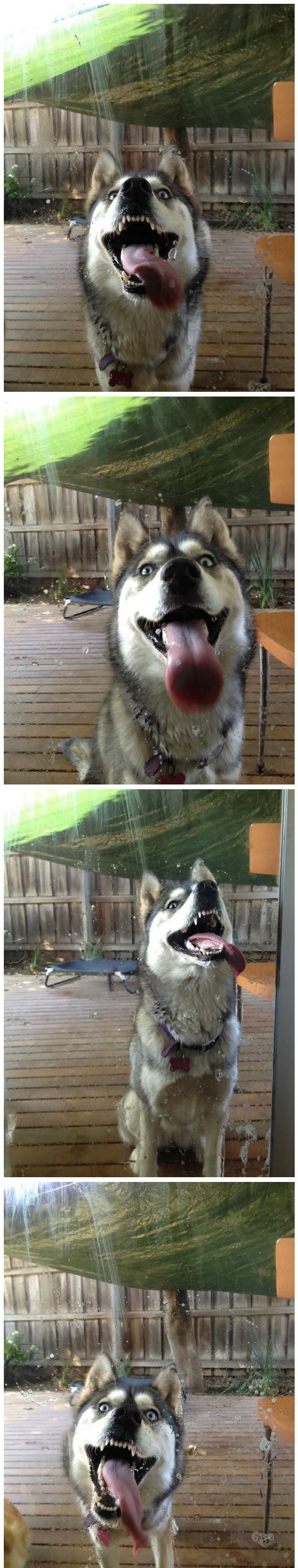 Free window cleaning