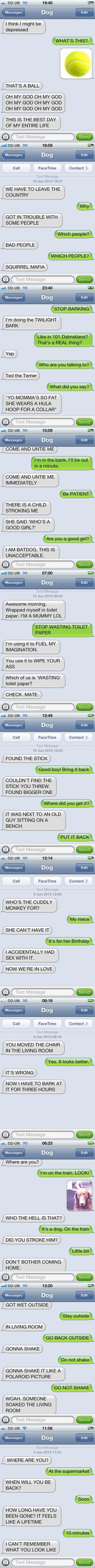 Texts from Dog