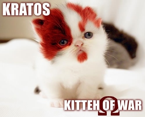 Ares where's my catnip