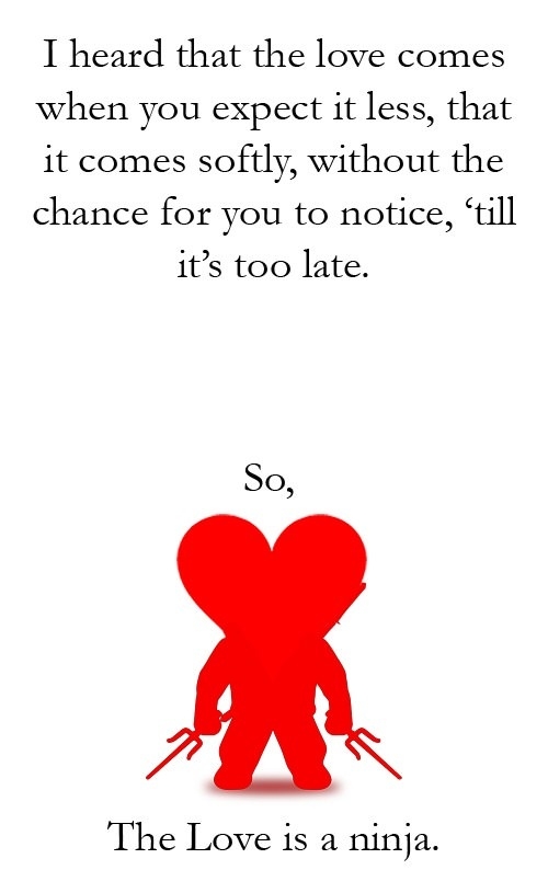 Ninja Love
