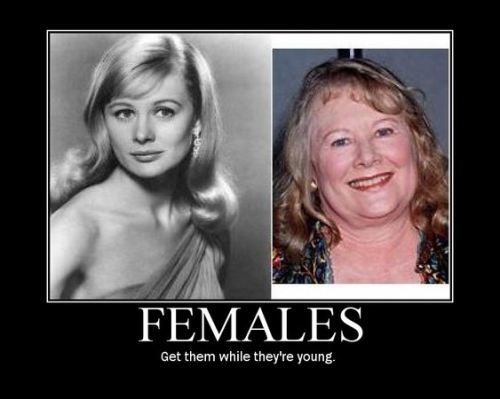 Females