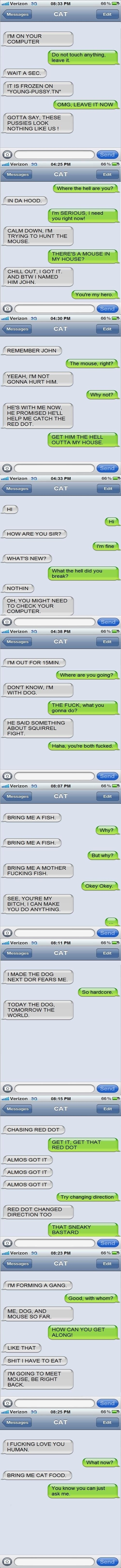Texts from Cat