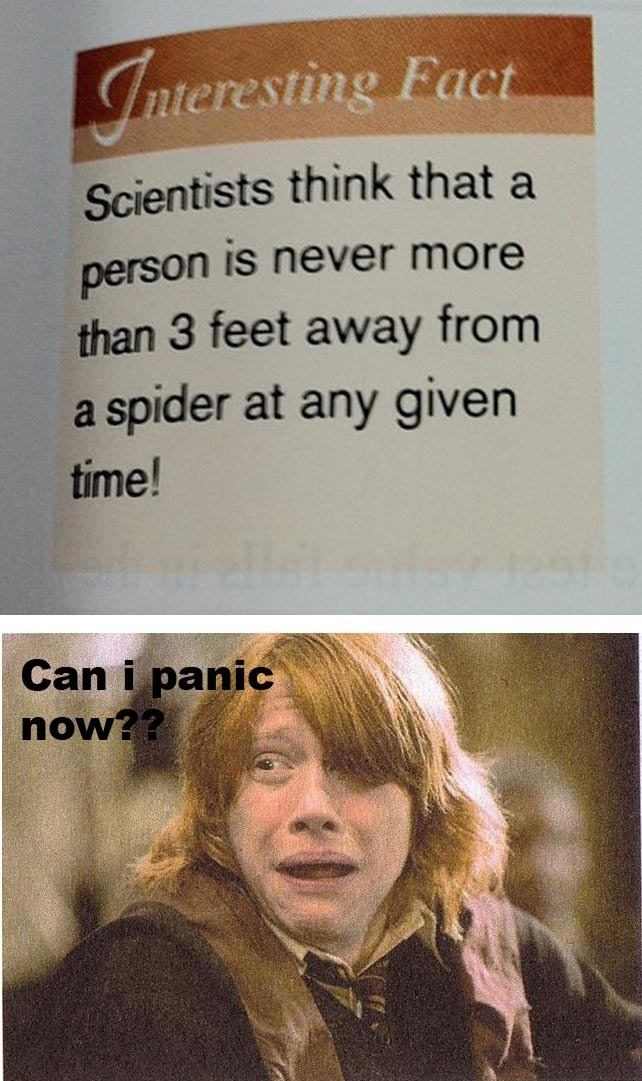 Can I panic now?