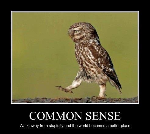 Common sense