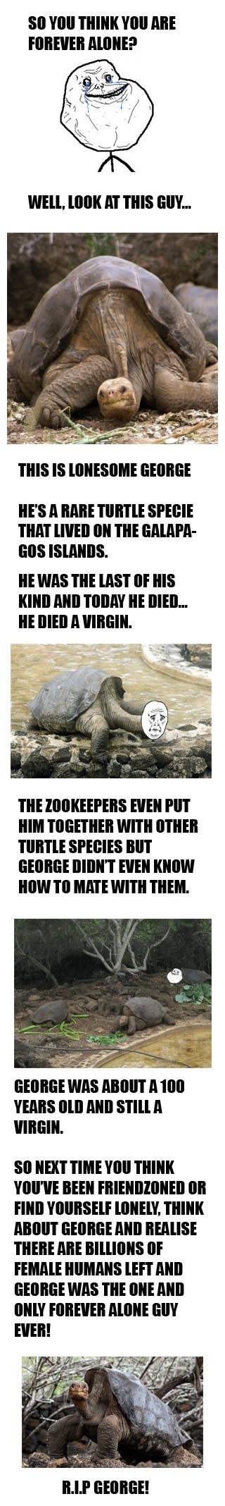 Lonesome George
