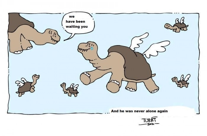 Lonesome George never again
