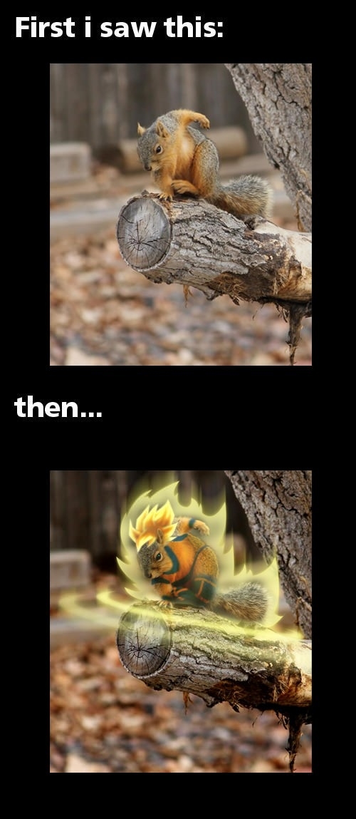 It can fight 50 dogs at once