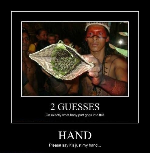 Dread to think where!