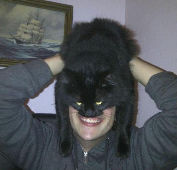 It's Catman!