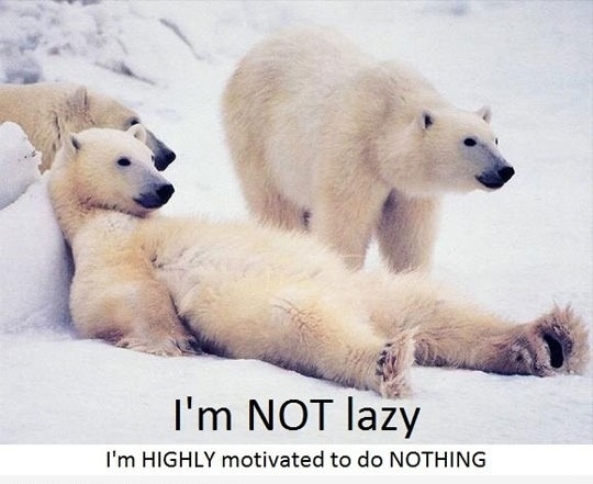Really suits me