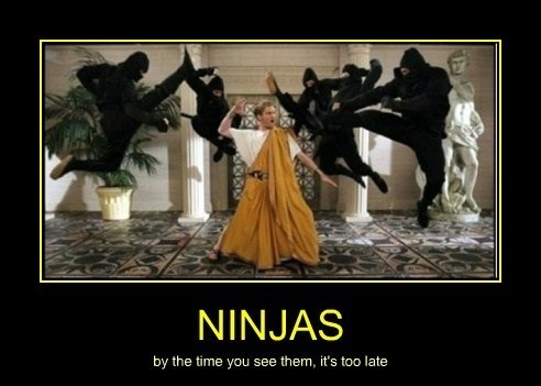 Ninjas!
