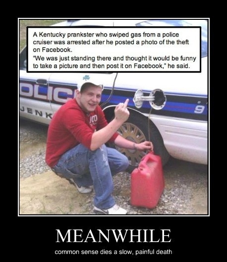 Kentucky Intelligence