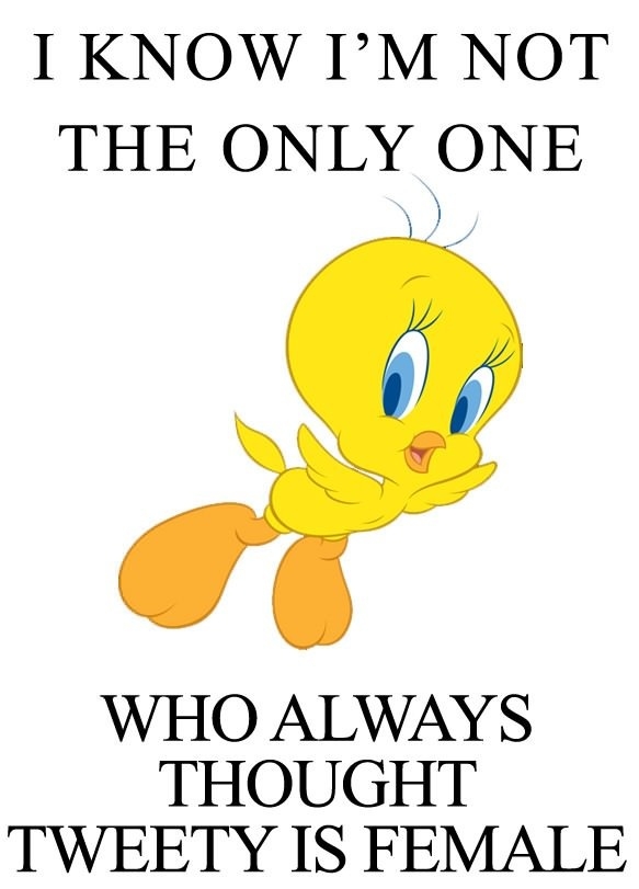 My whole life is a lie!