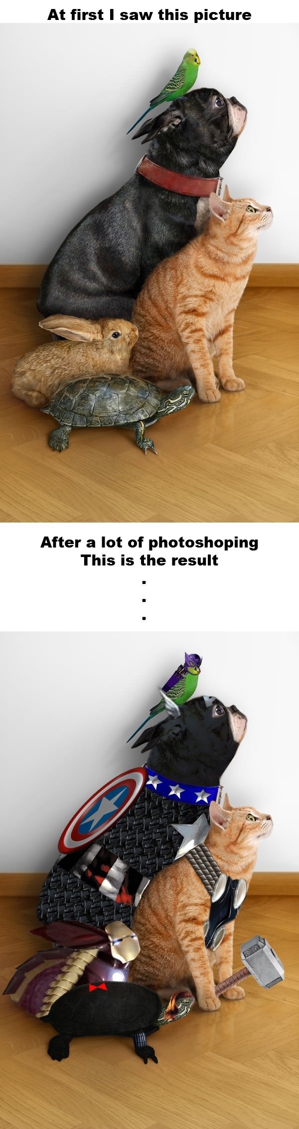 They must be a great team