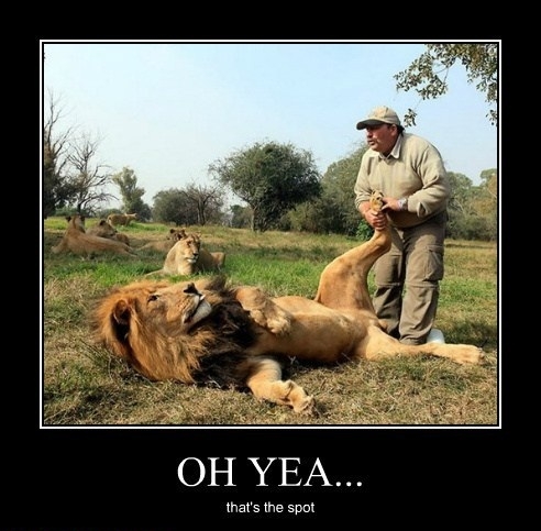 Oh yeaaaaa