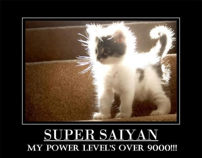 Cuteness over 9000!