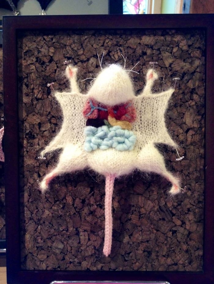 Dissected mouse