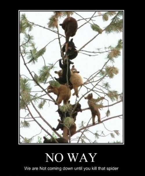 No way!