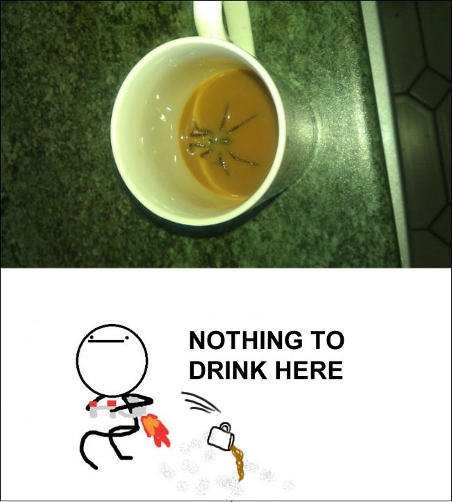 Drink coffee they said