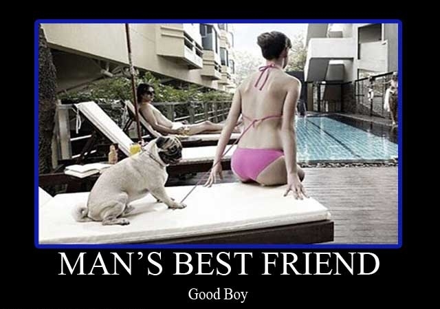 Man's best friend
