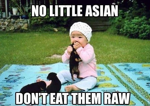 No, little Asian!