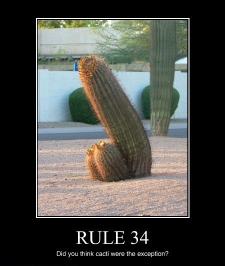 Doesn't matter, had spikes