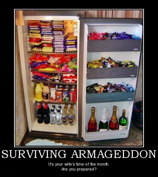 Surviving Armageddon