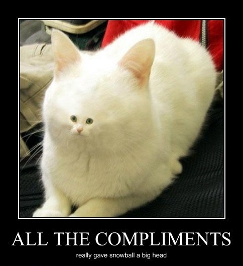 Cats are egotists like that