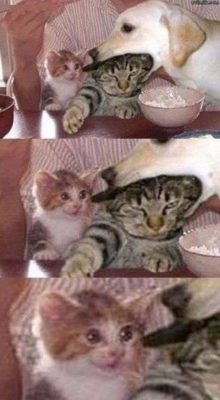 I thought we were friends