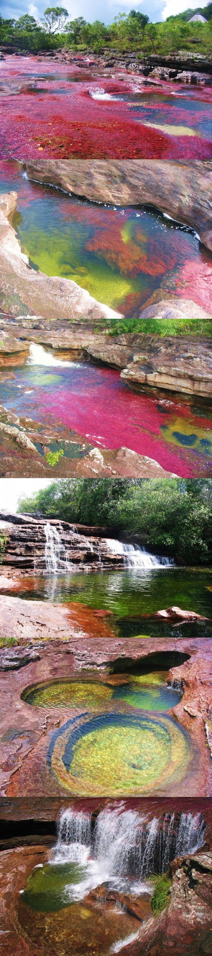 Seven colours River, Colombia