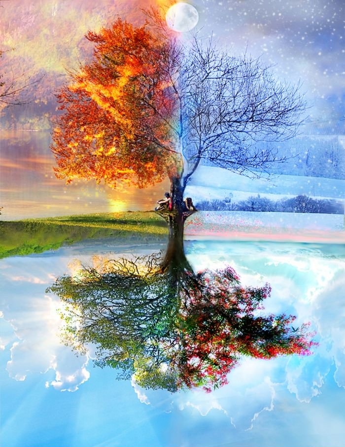One Tree, Four Seasons