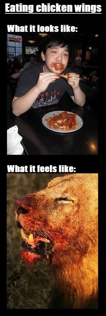 Truth about chicken wings