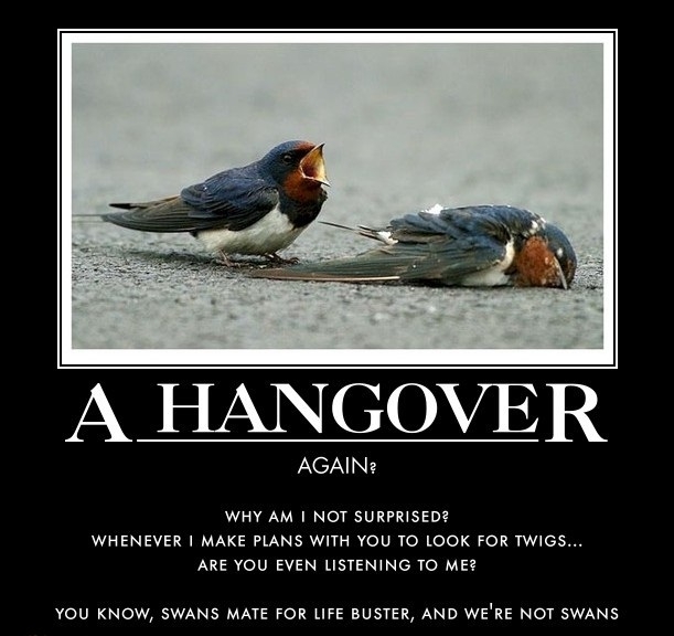 Hangovers
