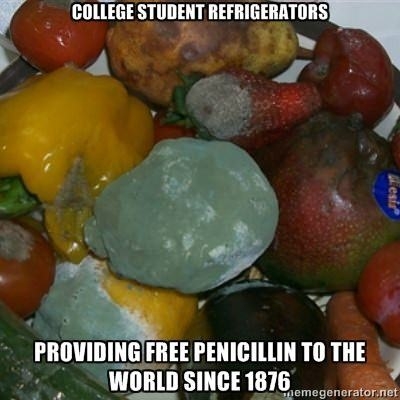 College Students Fridges