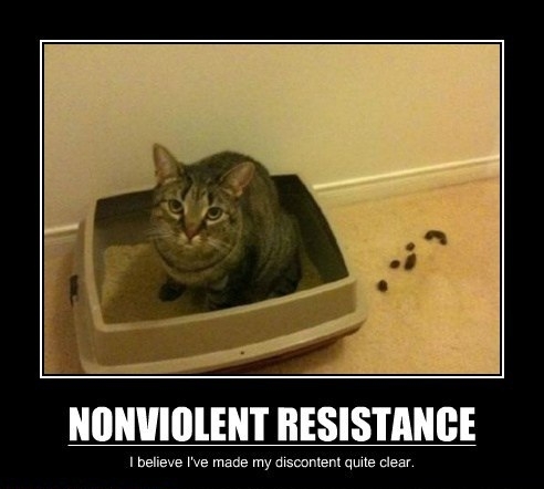 Non-violent Resistance