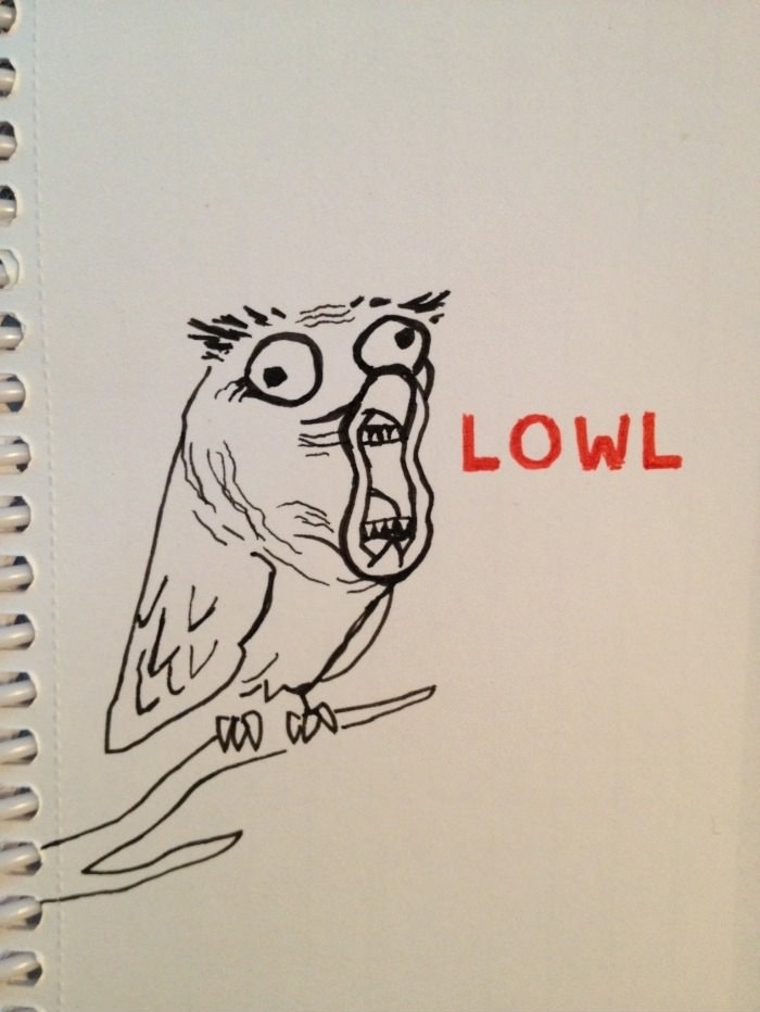 Funniest bird on earth