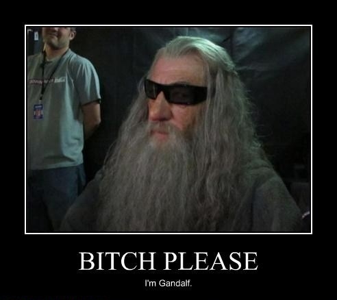 Gandalf is not amused