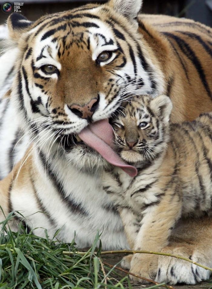 Stop mom, it's embarrassing!