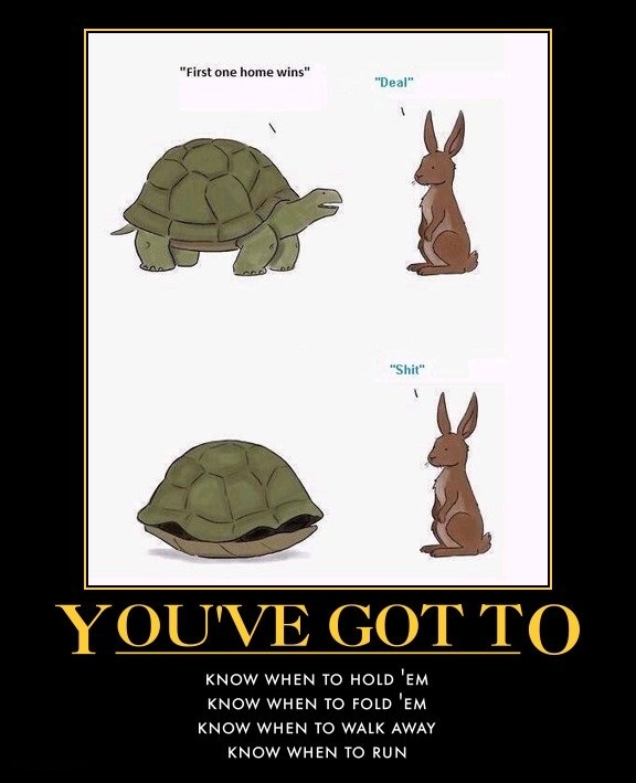The rabbit will never win