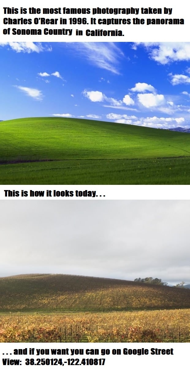 The most famous photo