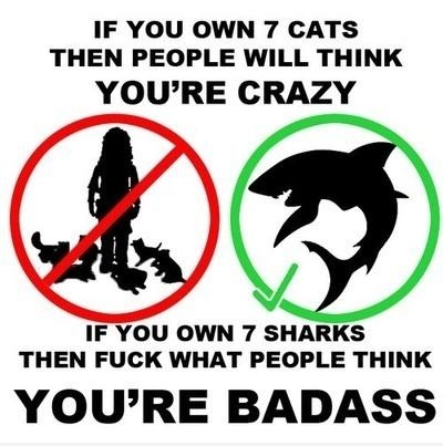 If You Own..