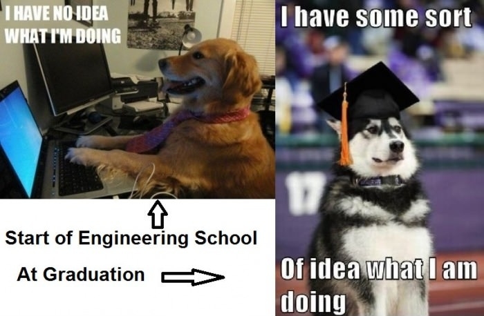 Engineering School
