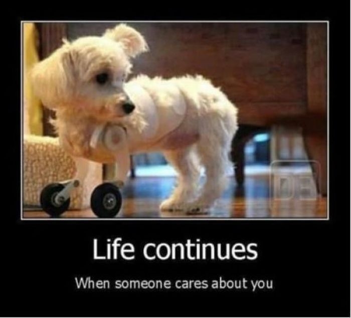 Life continues