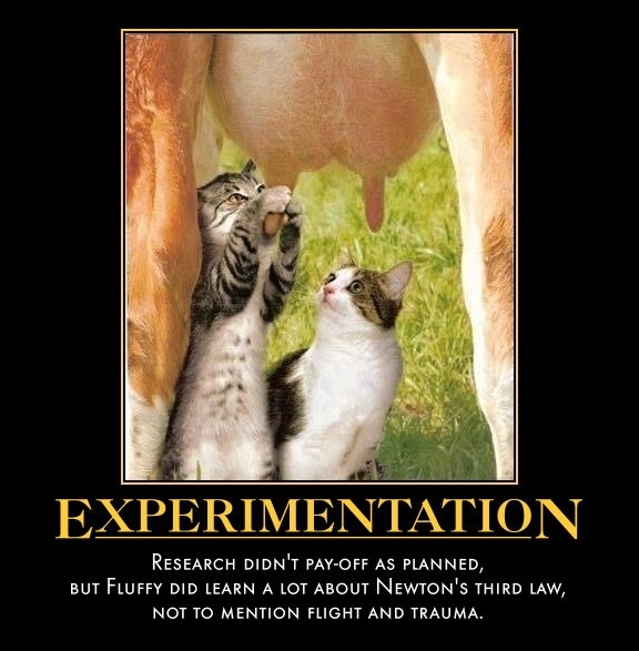 Experimentation