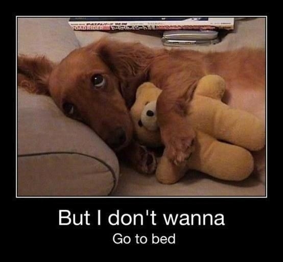 Can I stay up please?