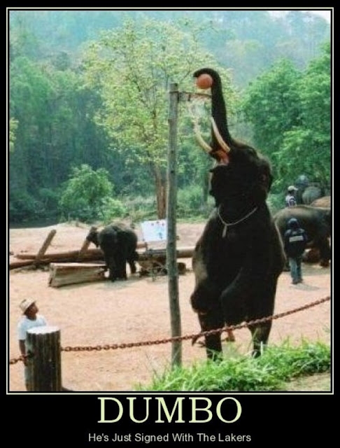 Dumbo