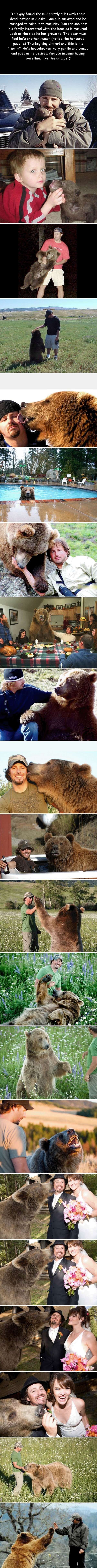 Story of a man & a bear
