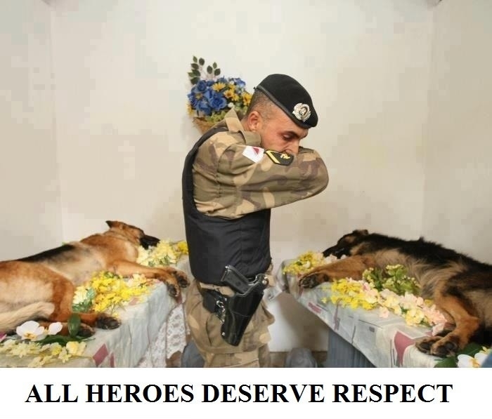 True heroes