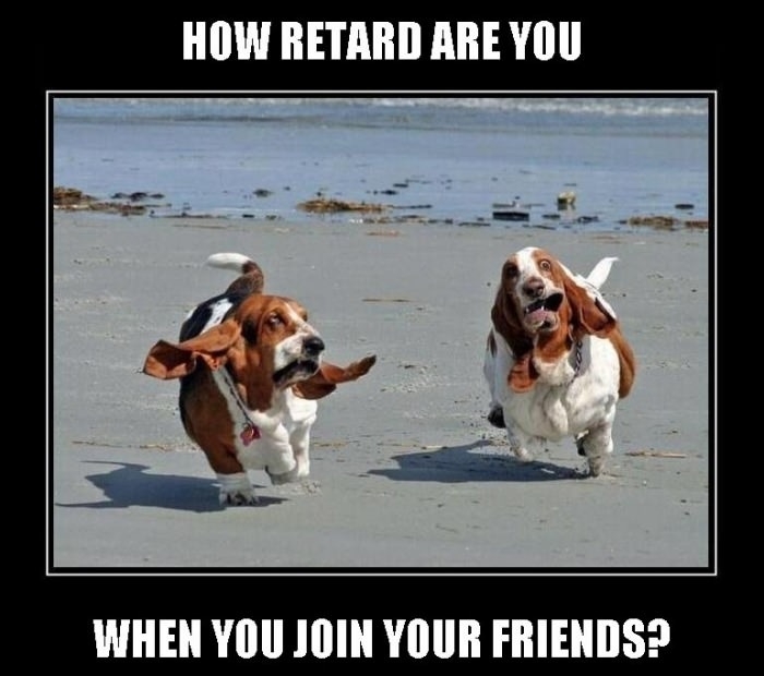 How retarded are you?