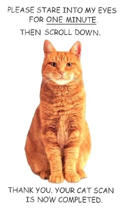 Stare Into My Eyes..